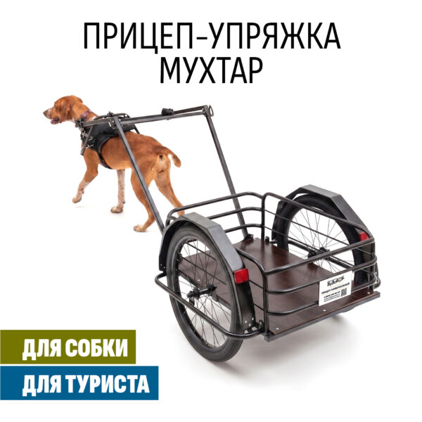 Прицеп для собаки "Мухтар М цельносварной" 690х500