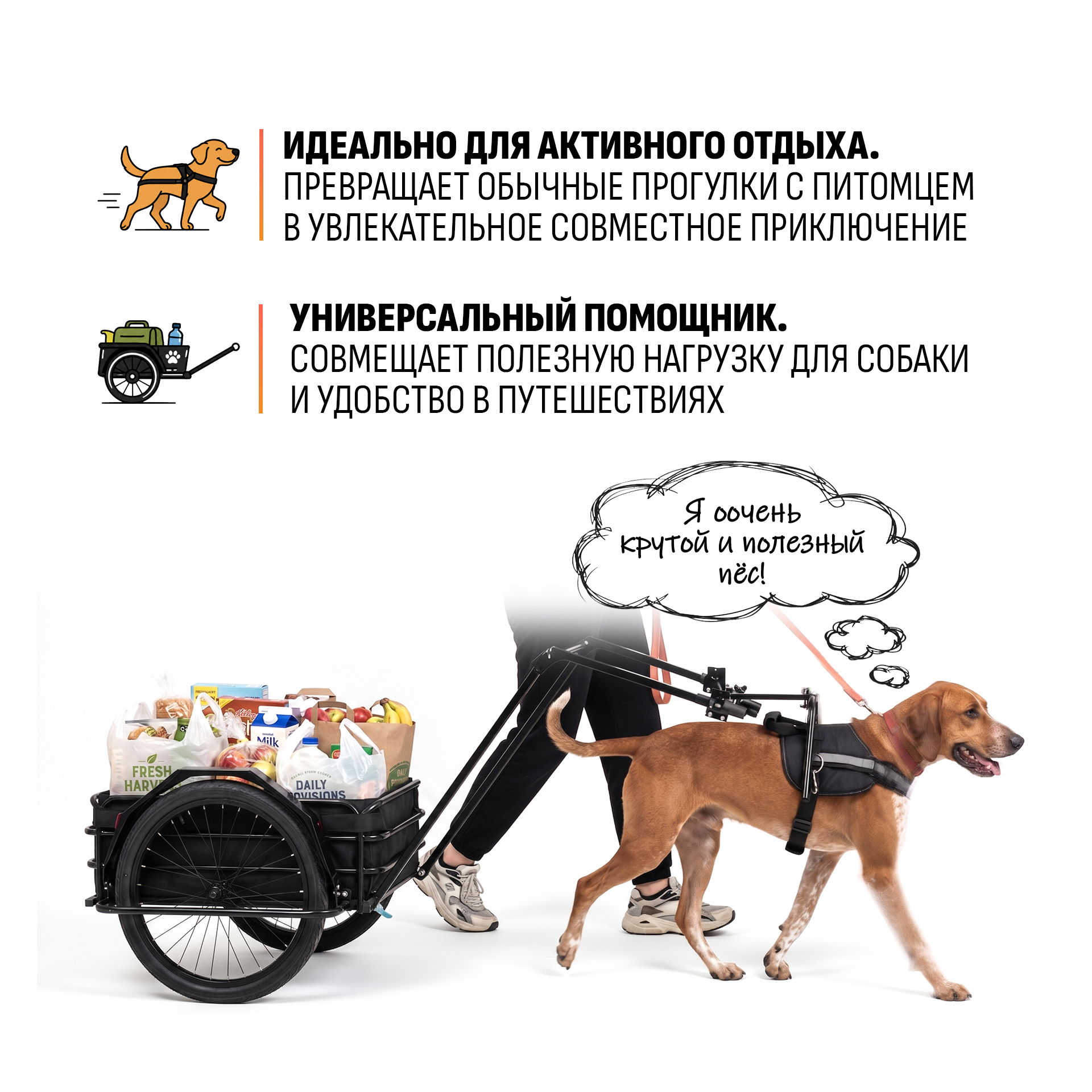 Прицеп для собаки "Мухтар М цельносварной" 690х500 — изображение 4