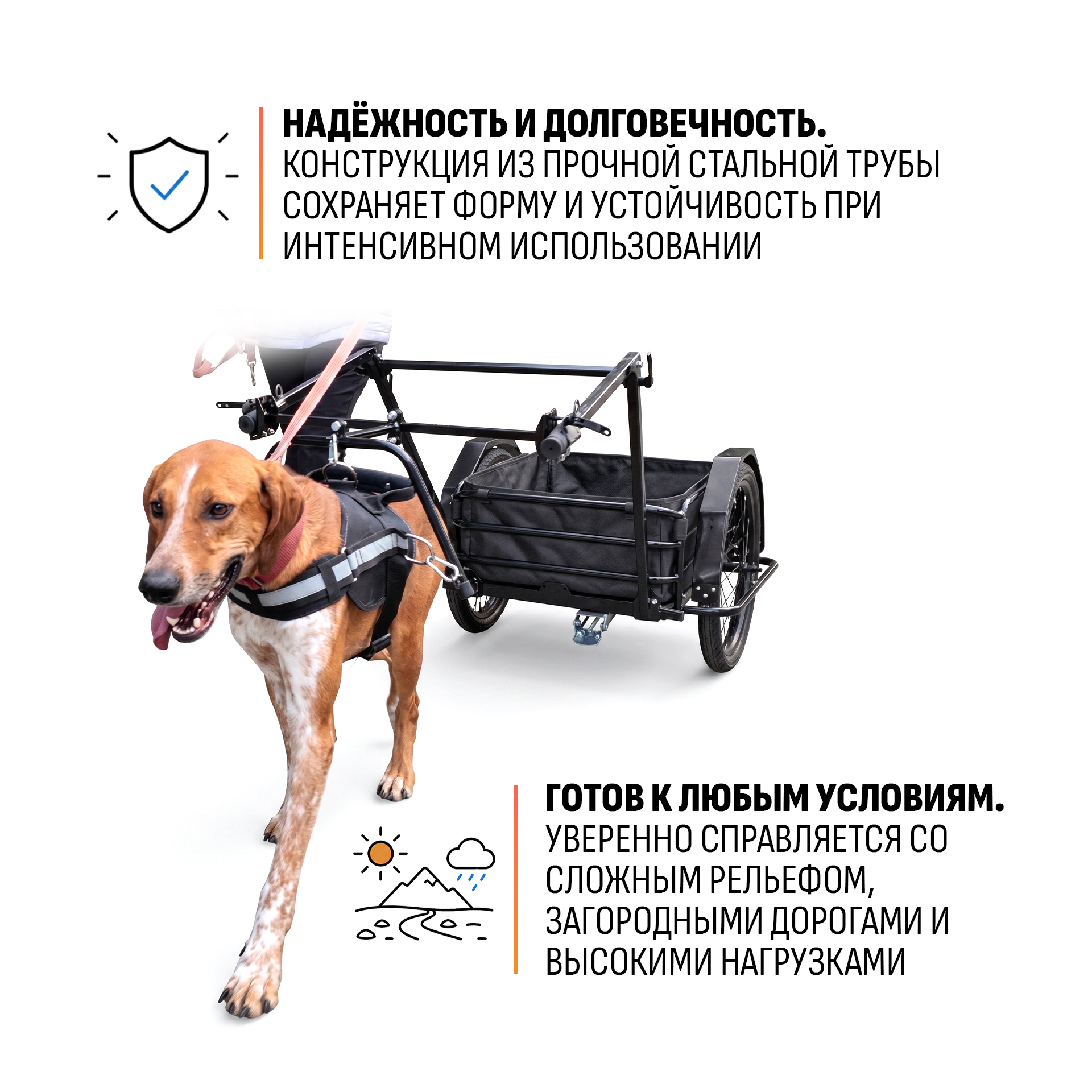 Прицеп для собаки "Мухтар М цельносварной" 690х500 — изображение 5