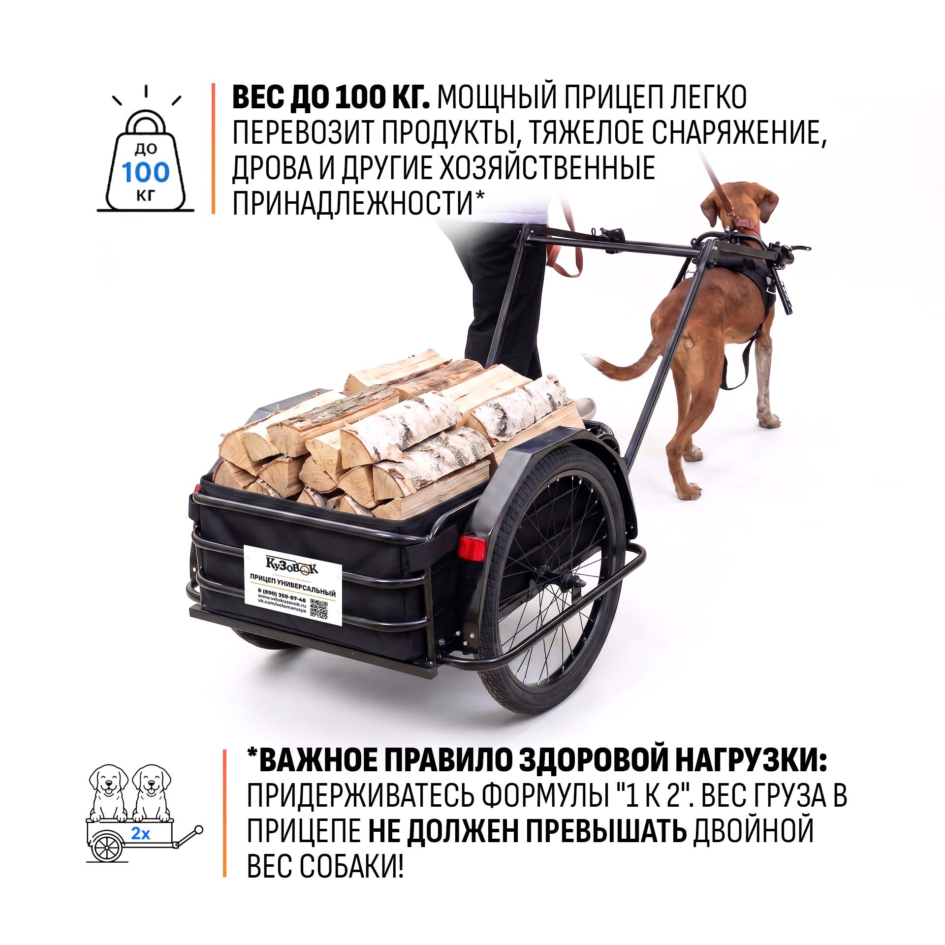 Прицеп для собаки "Мухтар М цельносварной" 690х500 — изображение 6