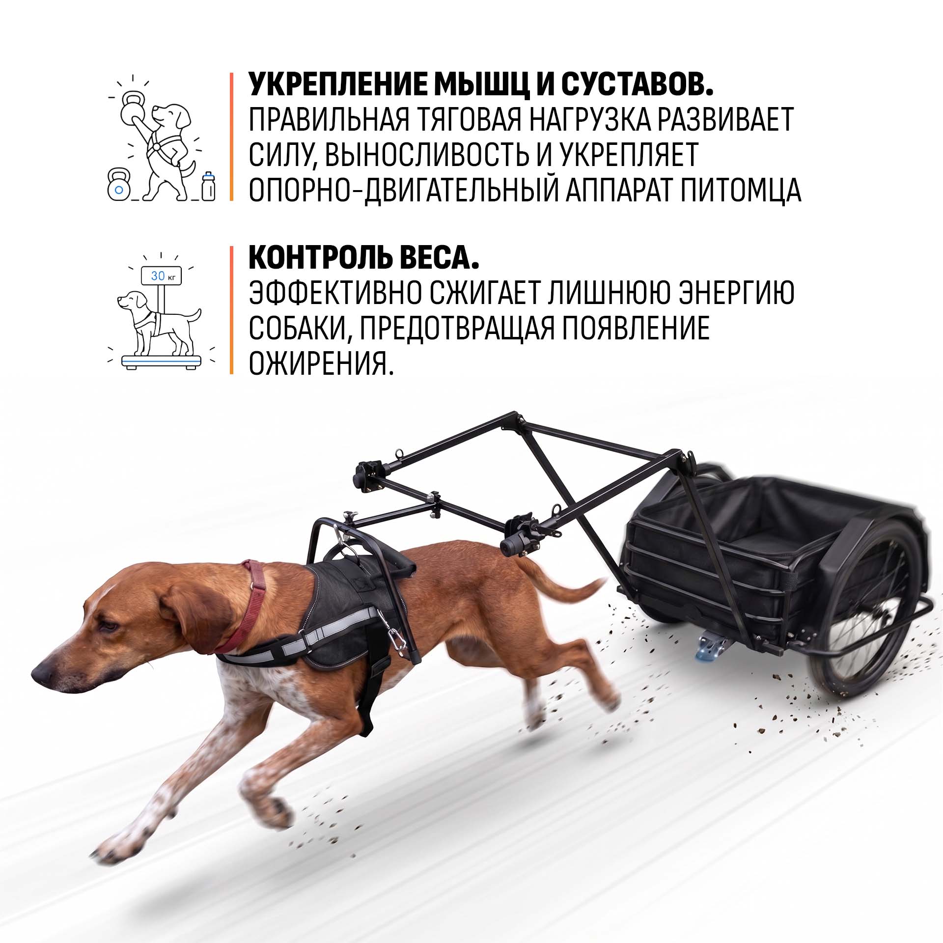 Прицеп для собаки "Мухтар М цельносварной" 690х500 — изображение 11