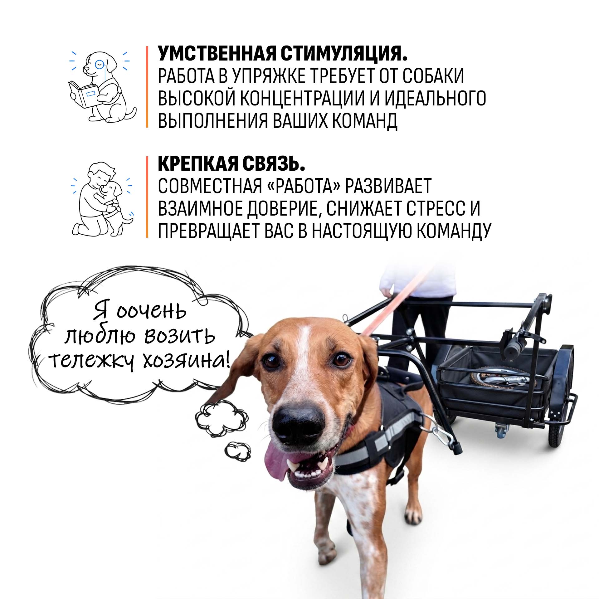 Прицеп для собаки "Мухтар М цельносварной" 690х500 — изображение 12