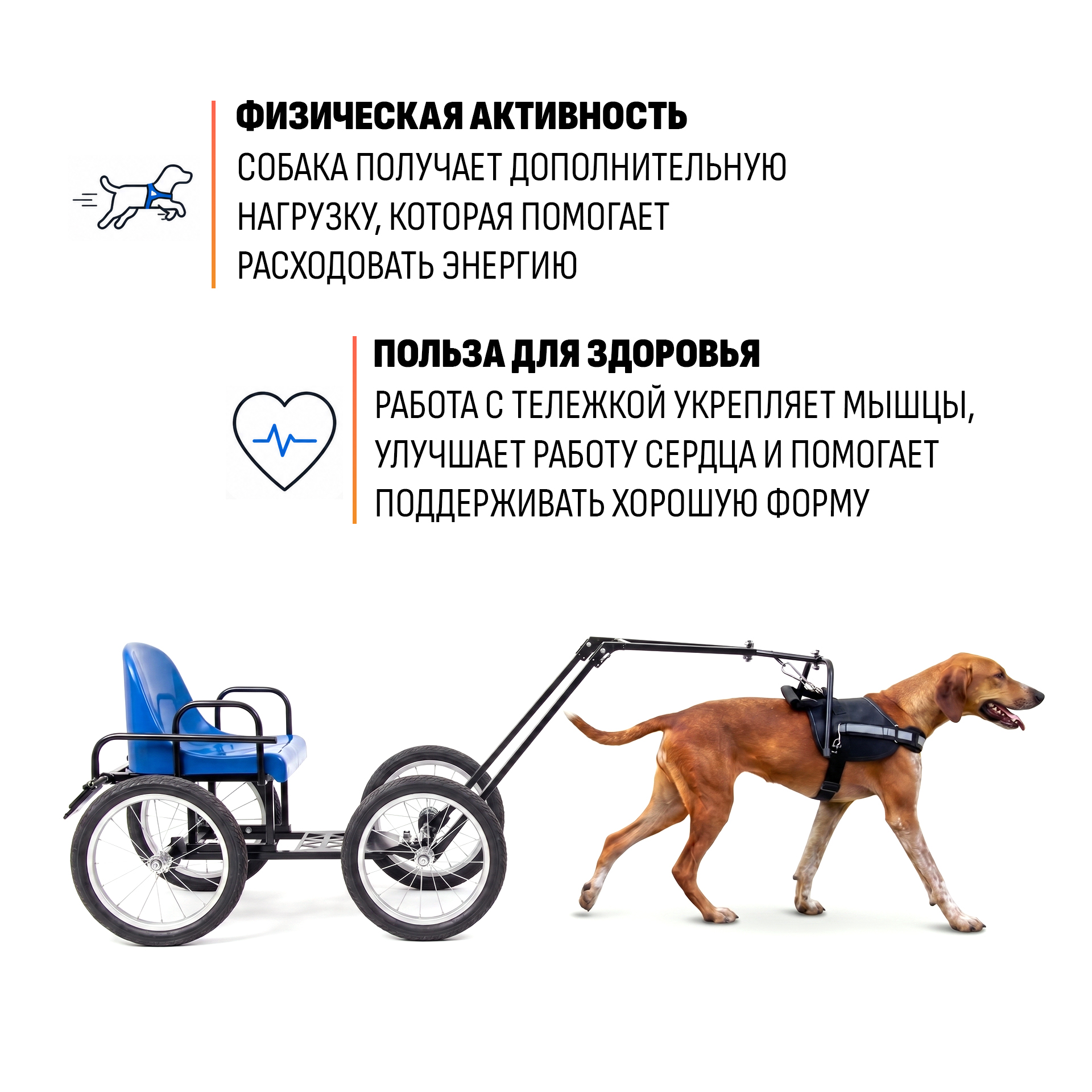 Прицеп-упряжка для собак "Экипаж" — изображение 3