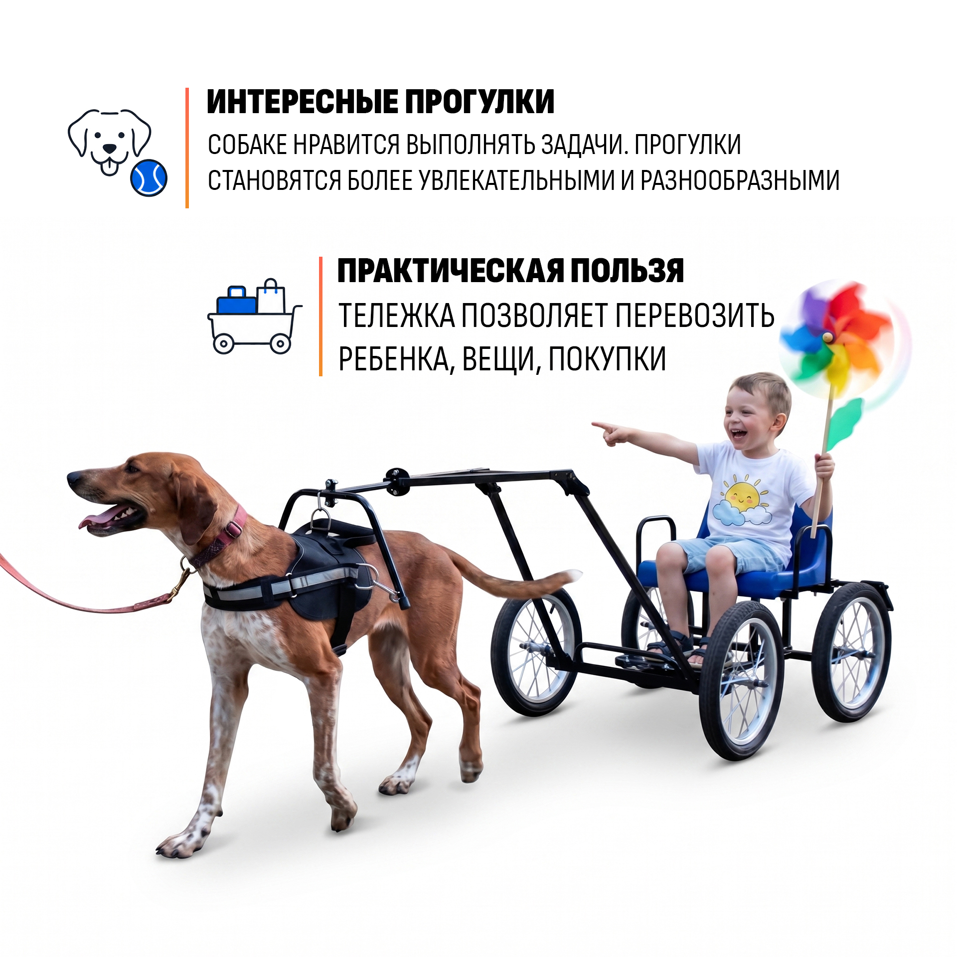 Прицеп-упряжка для собак "Экипаж" — изображение 4