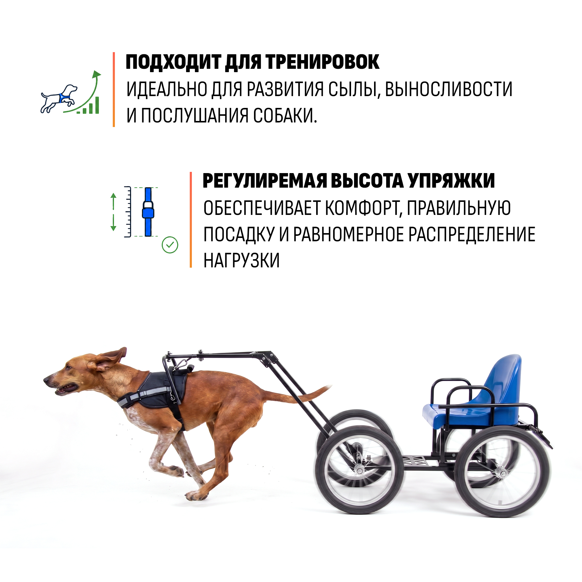 Прицеп-упряжка для собак "Экипаж" — изображение 9