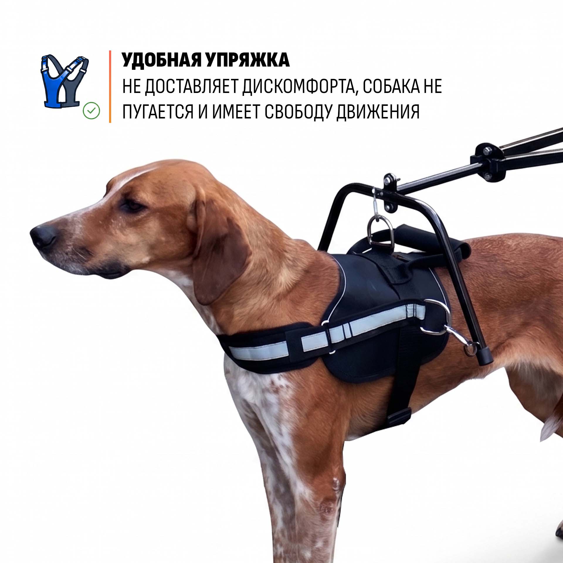 Прицеп-упряжка для собак "Экипаж" (усиленные колеса) — изображение 4