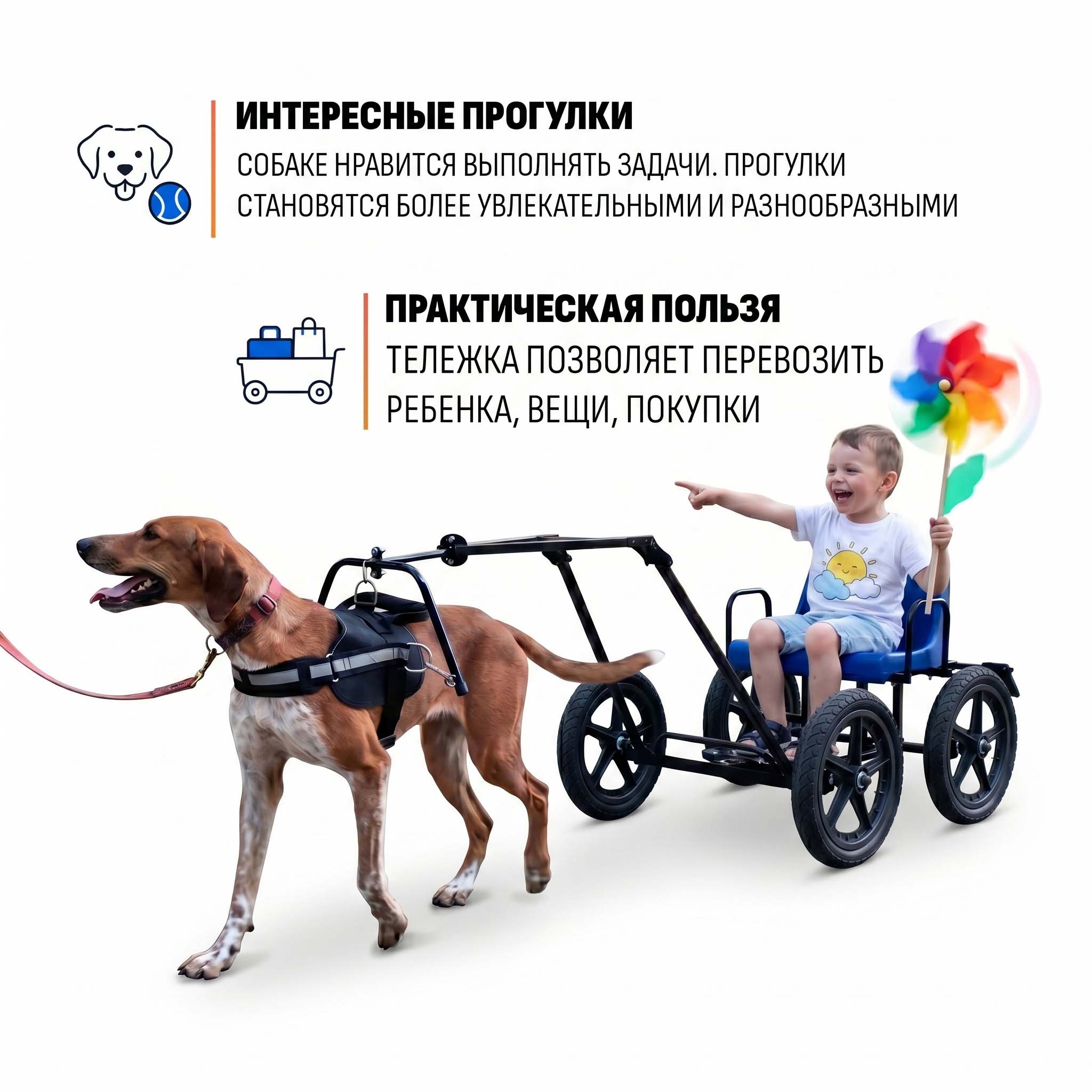 Прицеп-упряжка для собак "Экипаж" (усиленные колеса) — изображение 5